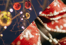 Navidad